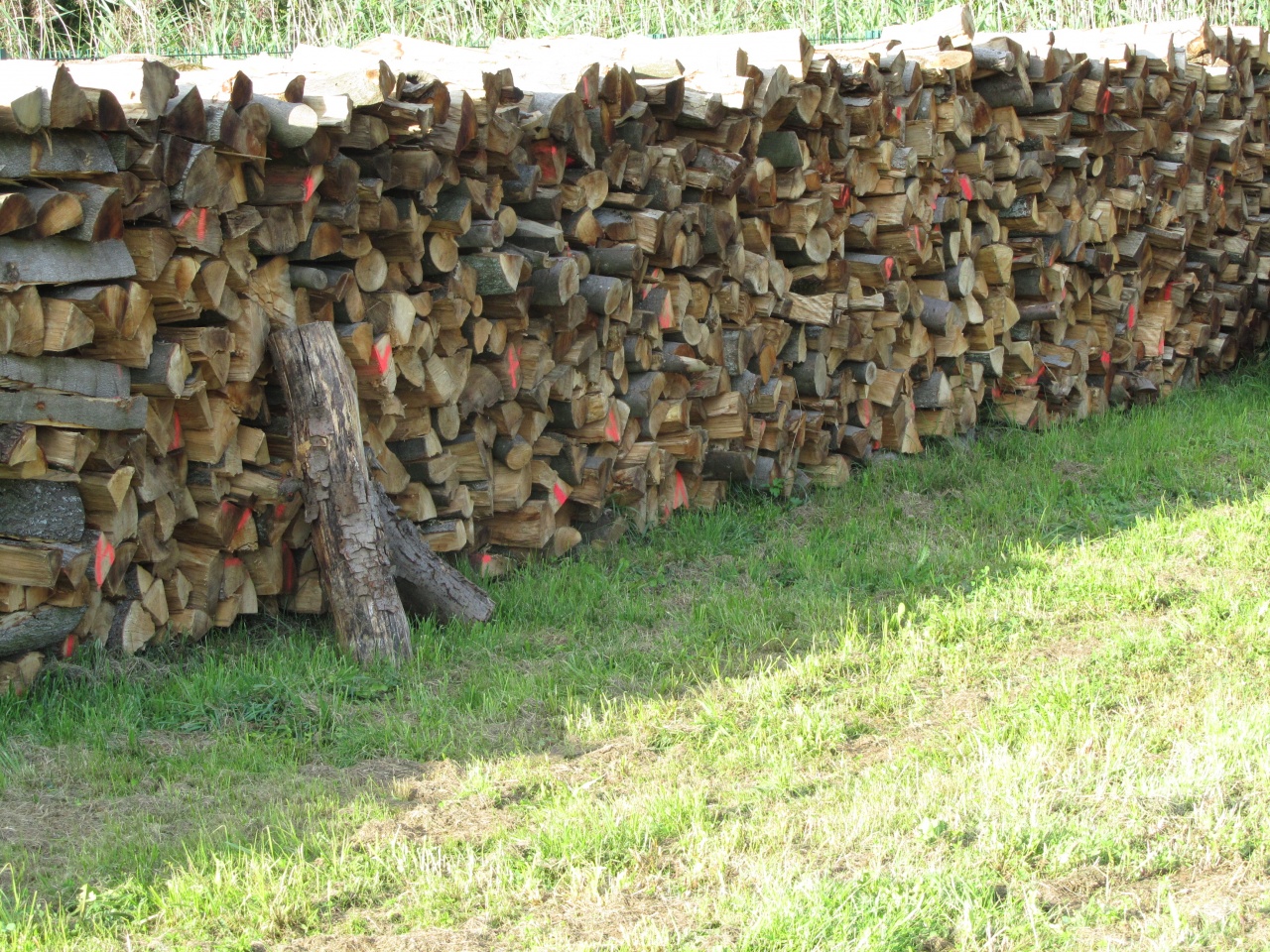 bois de chauffage