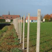 Clôture avec poteaux béton pour grillage souple.